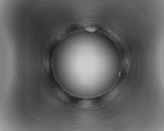 X0000113930566200910021244