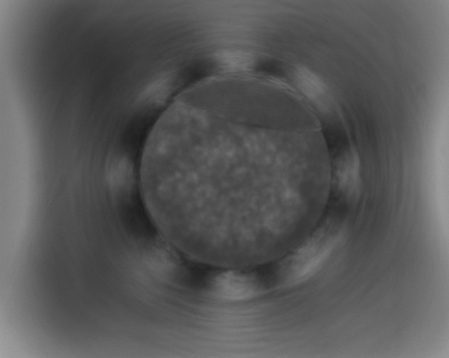 X0000113930568200910021244