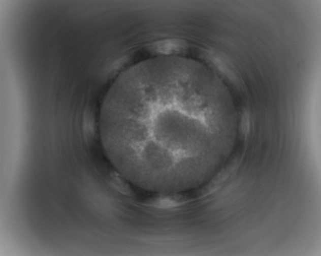 X0000113930569200910021245