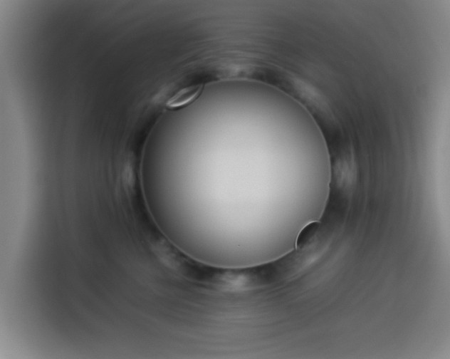 X0000113930570200910021245