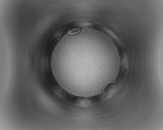 X0000113930572200910021245