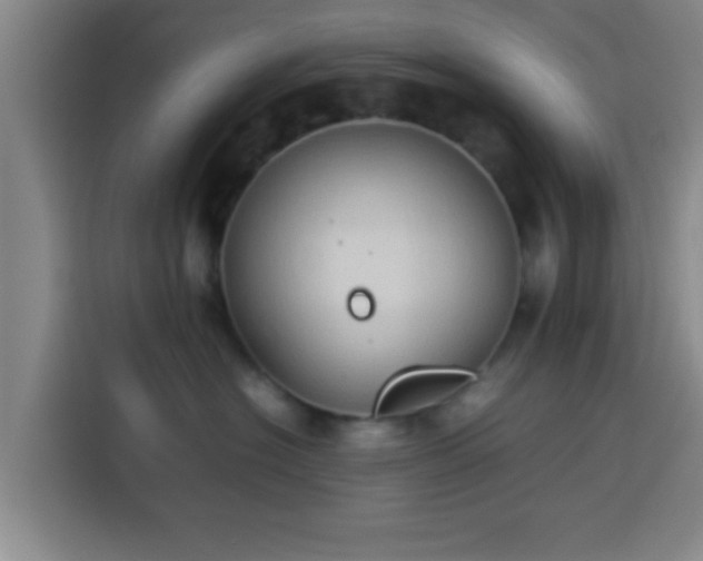 X0000113930574200910021245