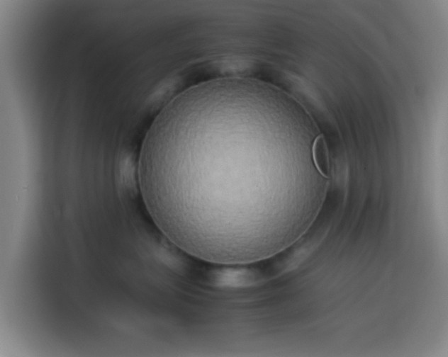 X0000113930575200910021245