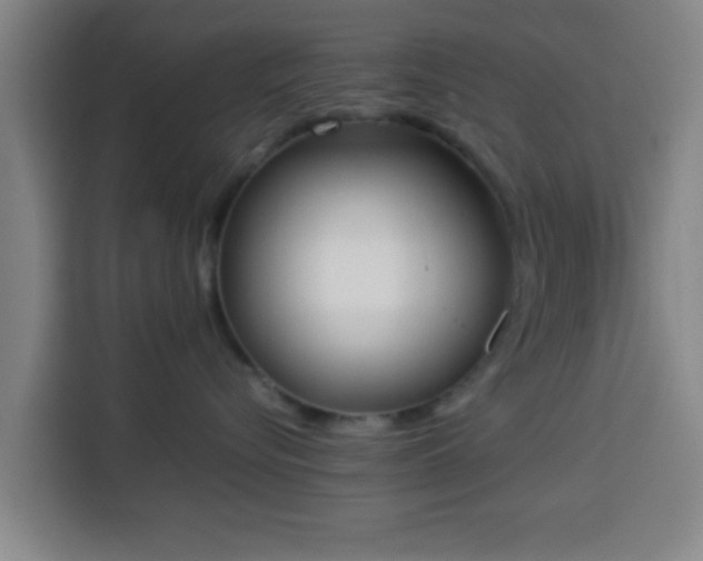 X0000113930576200910021245