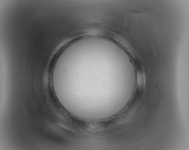 X0000113930579200910021244