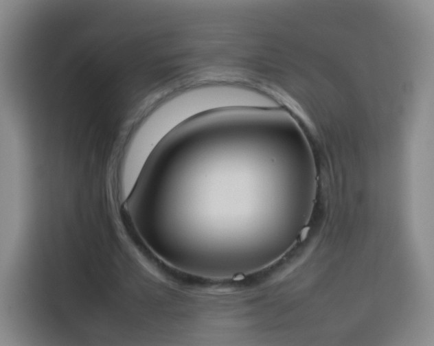 X0000113930581200910021244