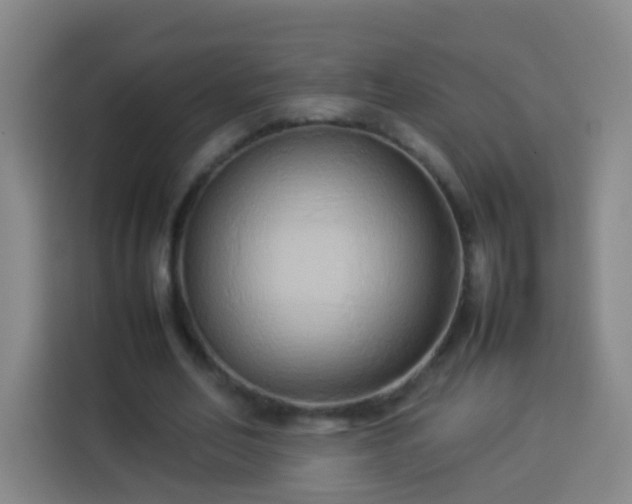 X0000113930582200910021244