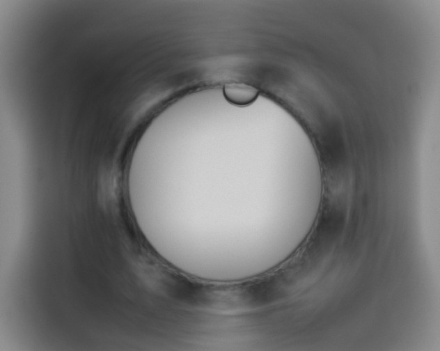 X0000113930583200910021244