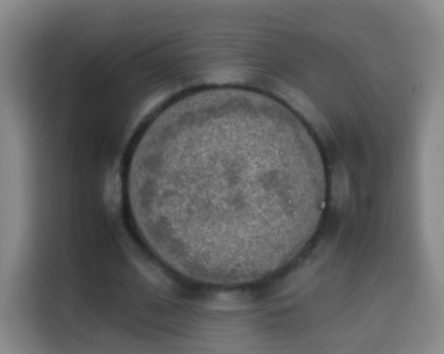 X0000113930584200910021244