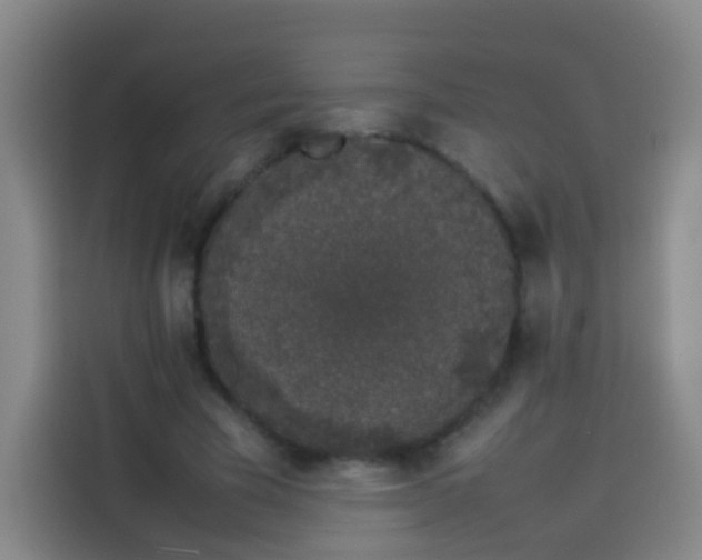 X0000113930585200910021244