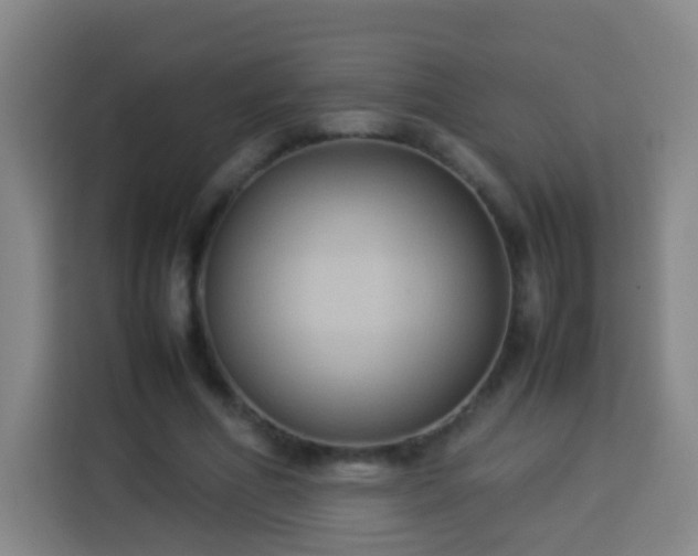 X0000113930586200910021244