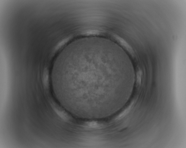 X0000113930588200910021244