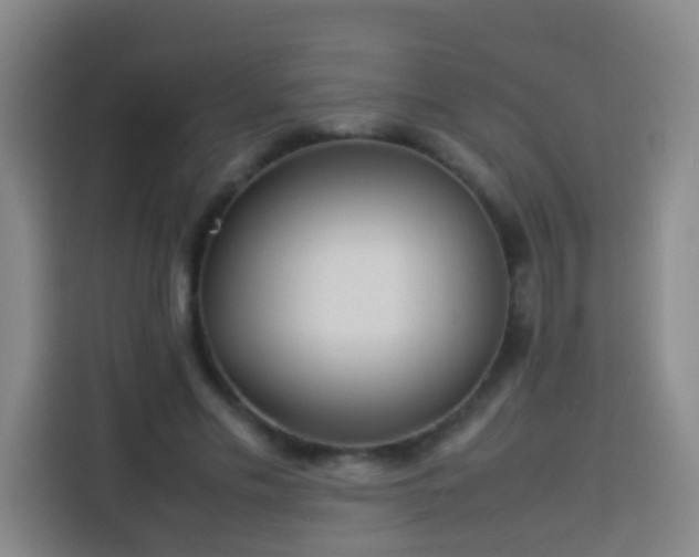 X0000113930589200910021244