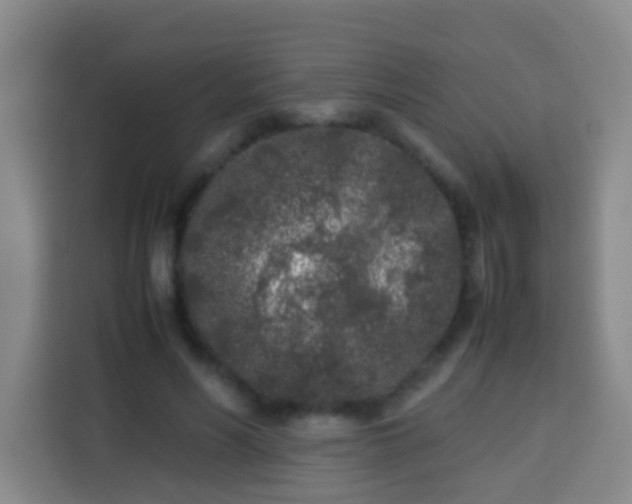 X0000113930590200910021244