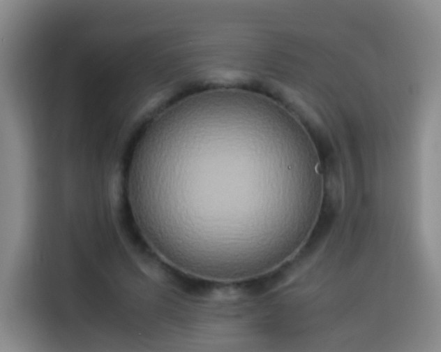 X0000113930591200910021244