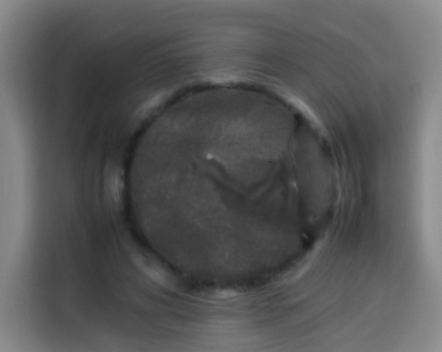 X0000113930592200910021244