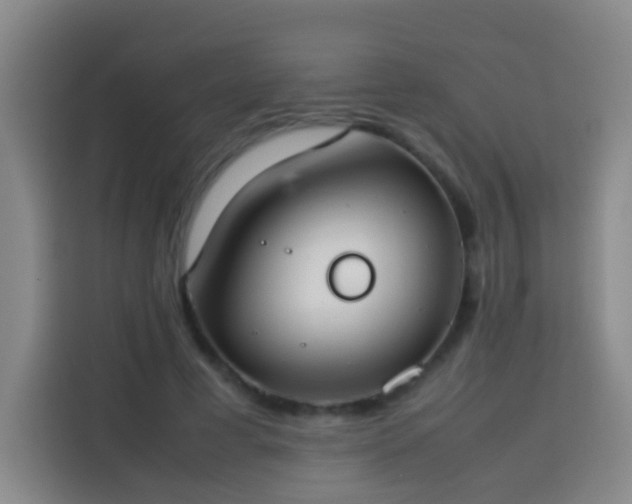 X0000113930593200910021244