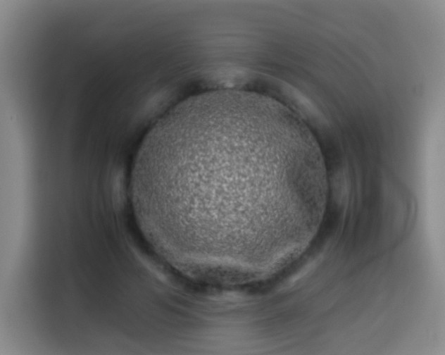 X0000113930594200910021244