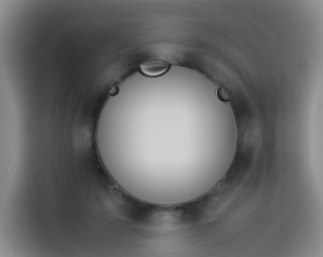 X0000113930595200910021244