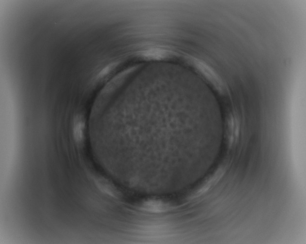 X0000113930596200910021244