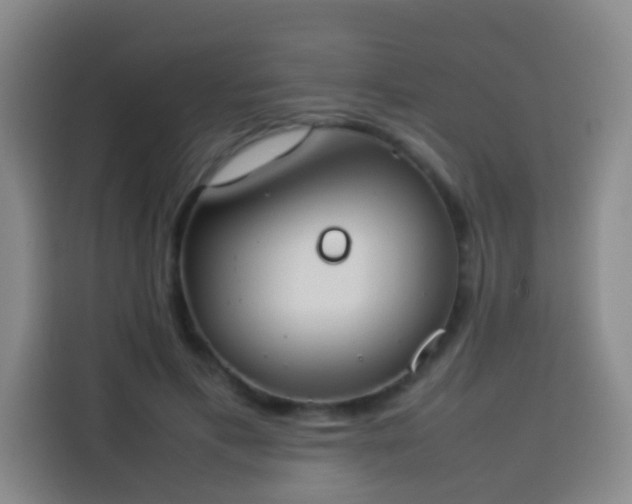 X0000113930597200910021244