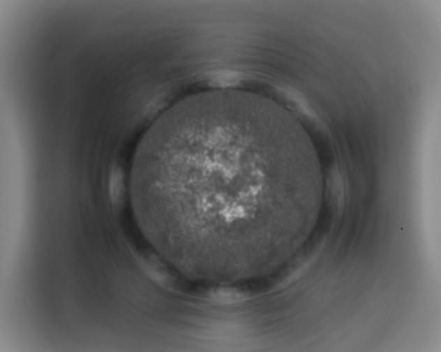 X0000113930598200910021244