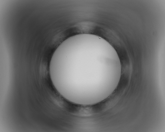 X0000113930599200910021244