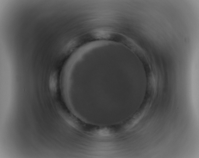 X0000113930600200910021244