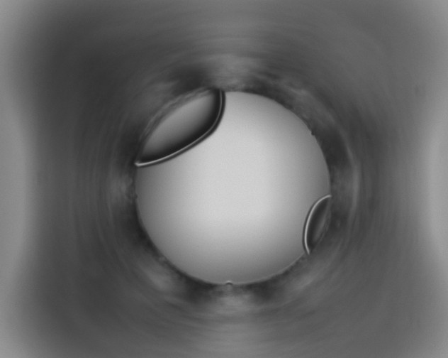 X0000113930601200910021244