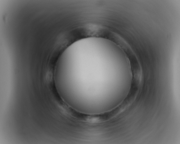 X0000113930602200910021244