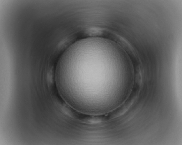 X0000113930604200910021244