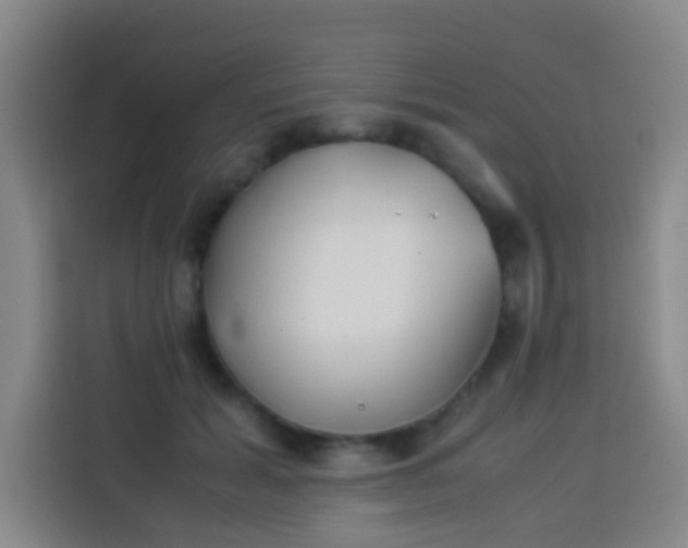 X0000113930605200910021244