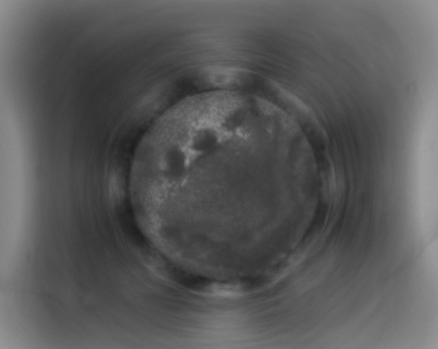 X0000113930606200910021244