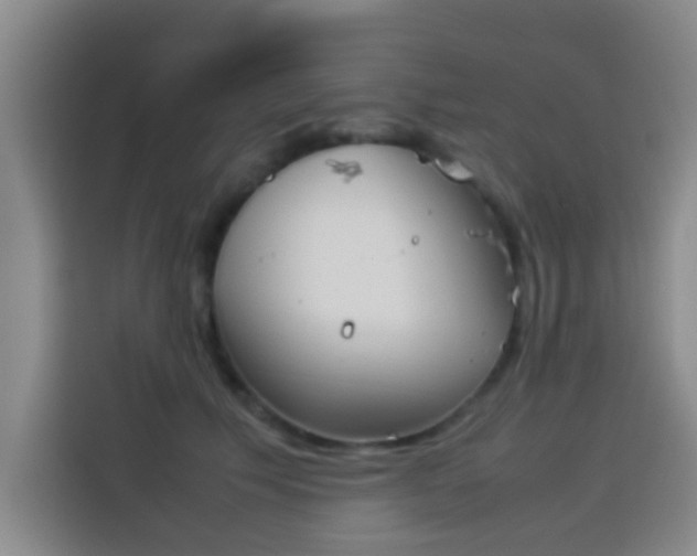 X0000113930609200910021244