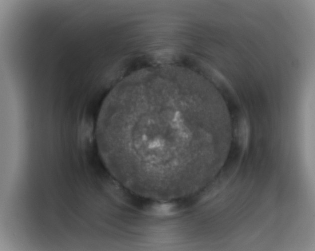 X0000113930610200910021244