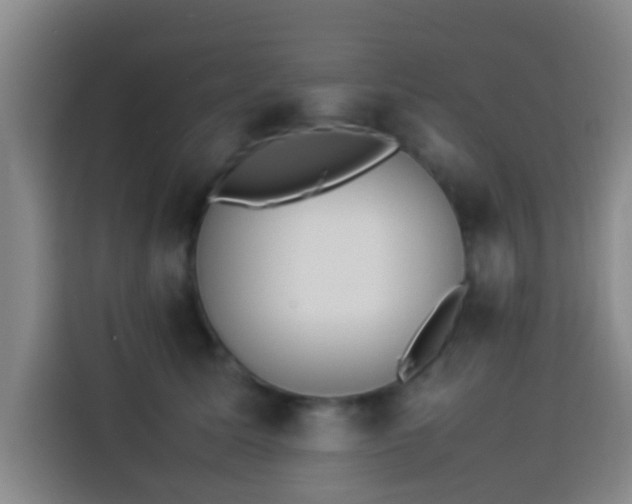 X0000113930611200910021244