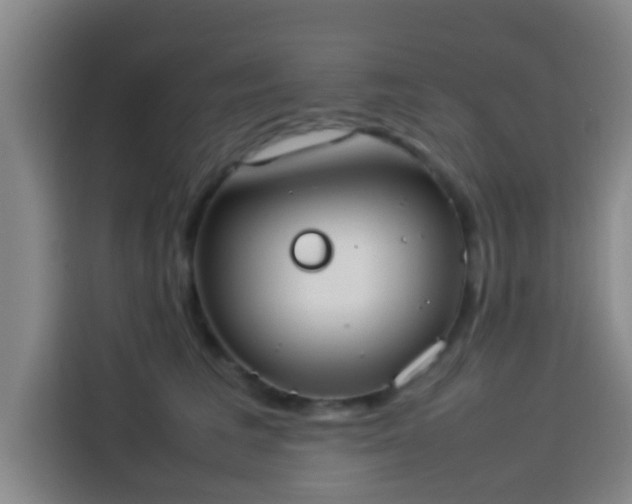 X0000113930613200910021244