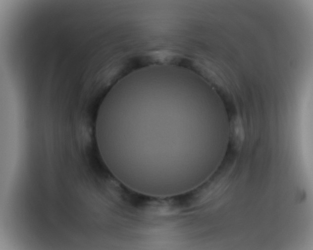 X0000113930615200910021243