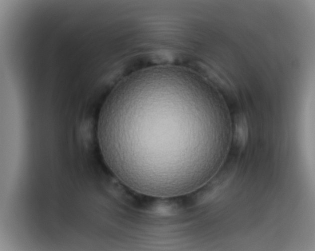 X0000113930616200910021243