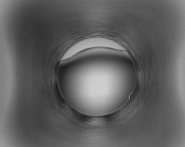 X0000113930617200910021243