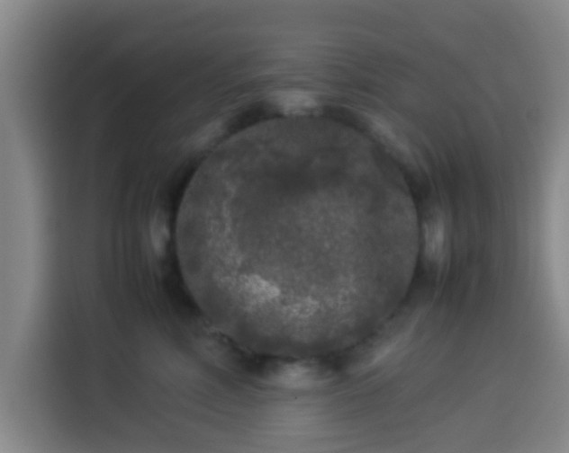 X0000113930618200910021243