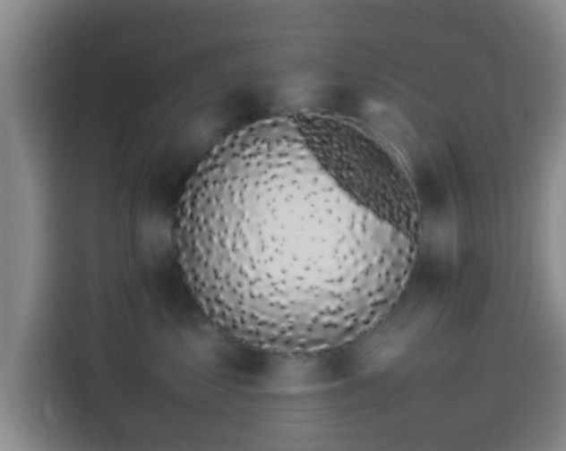 X0000113930621200910021243