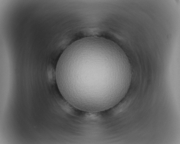 X0000113930624200910021243