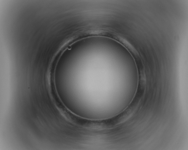 X0000113930626200910021243