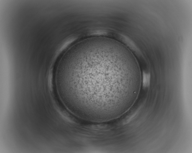 X0000113930627200910021243
