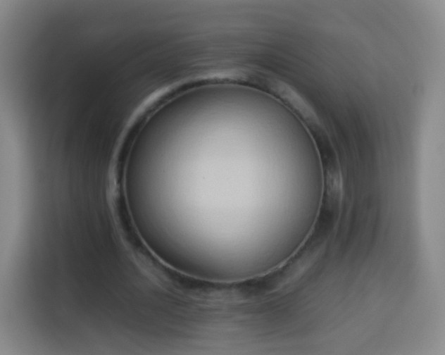 X0000113930628200910021243