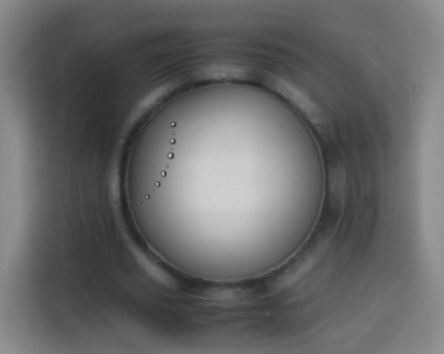 X0000113930629200910021243