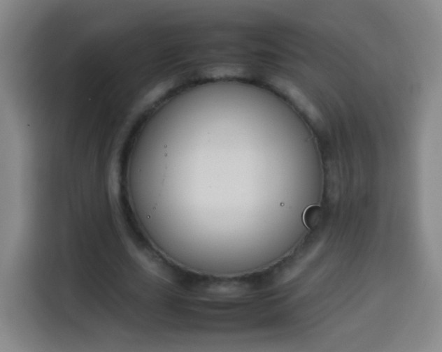 X0000113930631200910021243