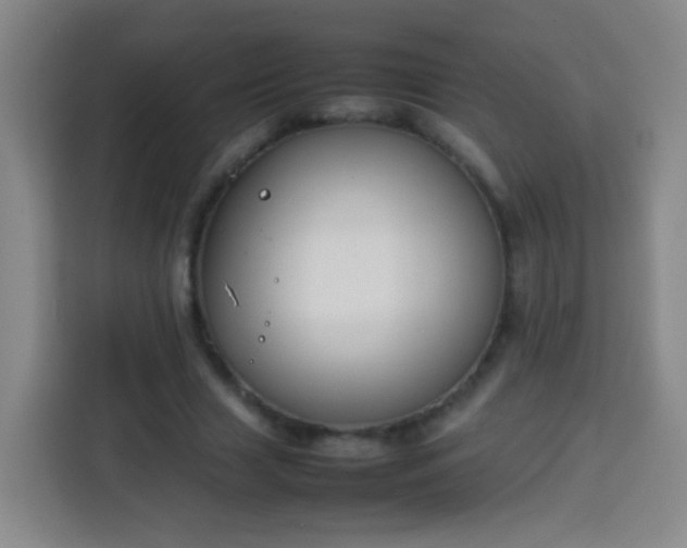 X0000113930633200910021243
