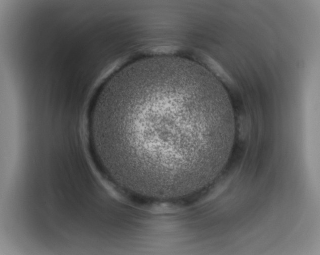X0000113930634200910021243